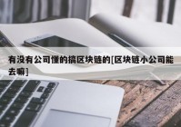 有没有公司懂的搞区块链的[区块链小公司能去嘛]