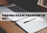 牛顿区块链公司怎么样[牛顿交易所最新下载地址]